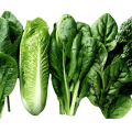Leafy Greens