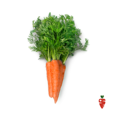 Carrots - 1 bunch