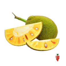 Jackfruit - 1 ct