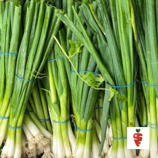 Organic green onions - 1 bunch