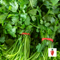 Cilantro - 1 bunch