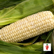 African Organic White Corn - 6 ct